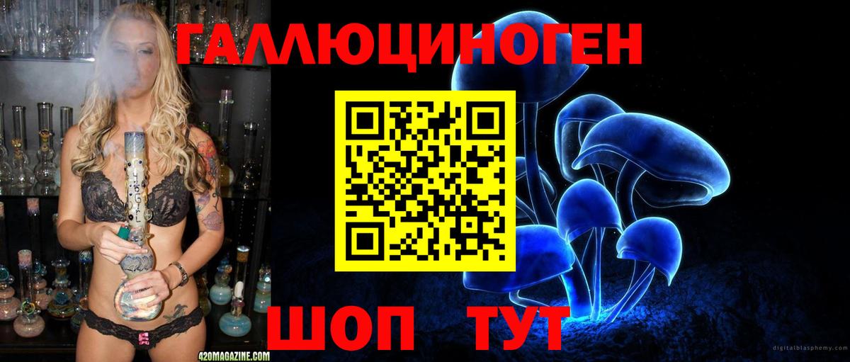 Железноводск  Псилоцибиновые грибы Psilocybe  Вход с VPN 